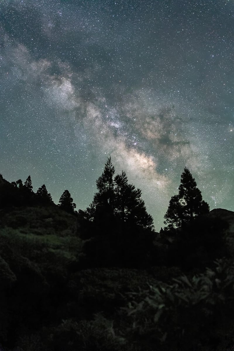 Stargazing