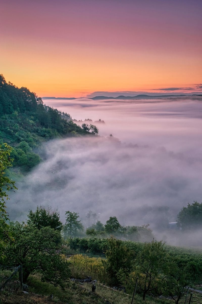 Mystical Atmosphere